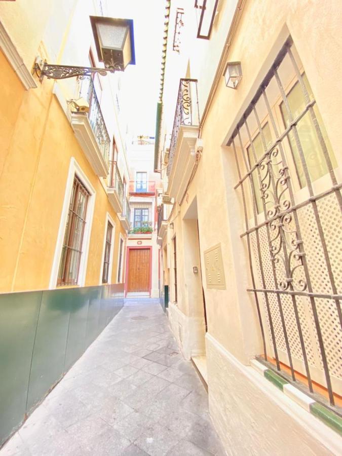 Appartement Superb In Downtown Of ,parking Optional, !!